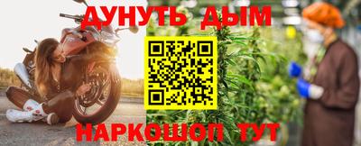 хмурый Кингисепп