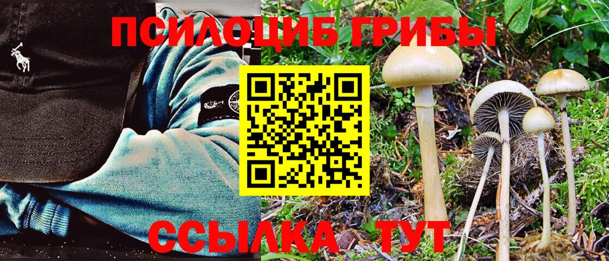 Коломна  Псилоцибиновые грибы Magic Shrooms  Псилоцибиновые грибы Magic Shrooms  Вход с VPN 