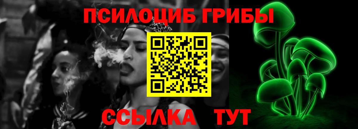 Псилоцибиновые грибы Psilocybine cubensis Коломна